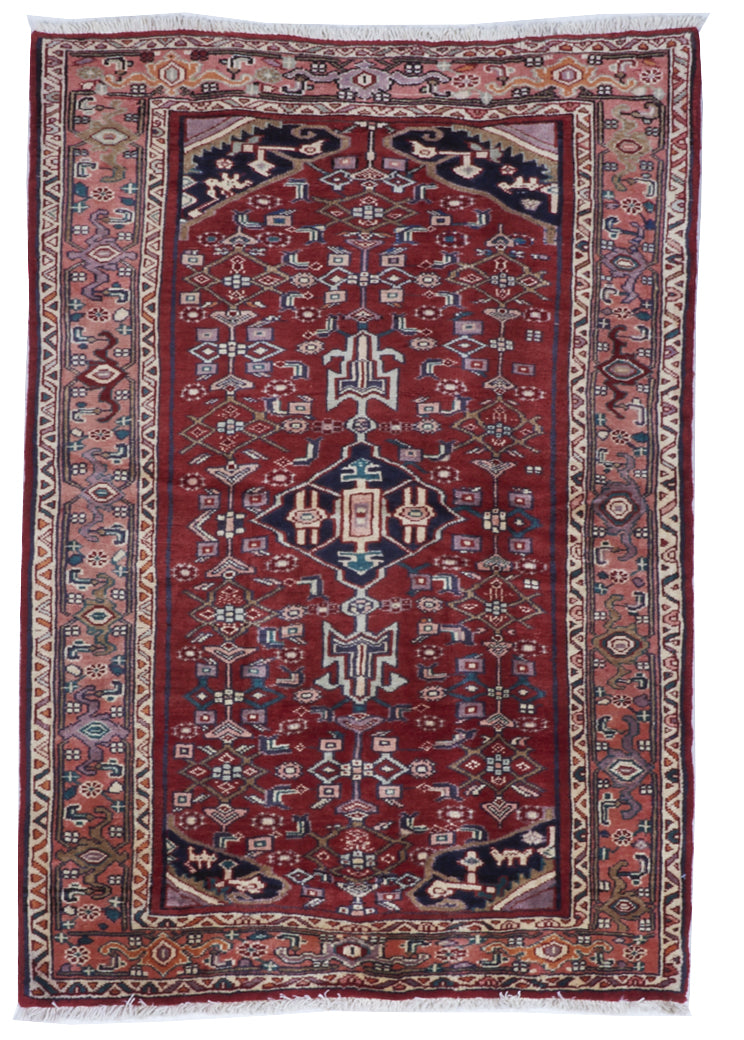 Hamadan Handmade Red Multicolor Wool Rug 3'7 x 5' - IGotYourRug