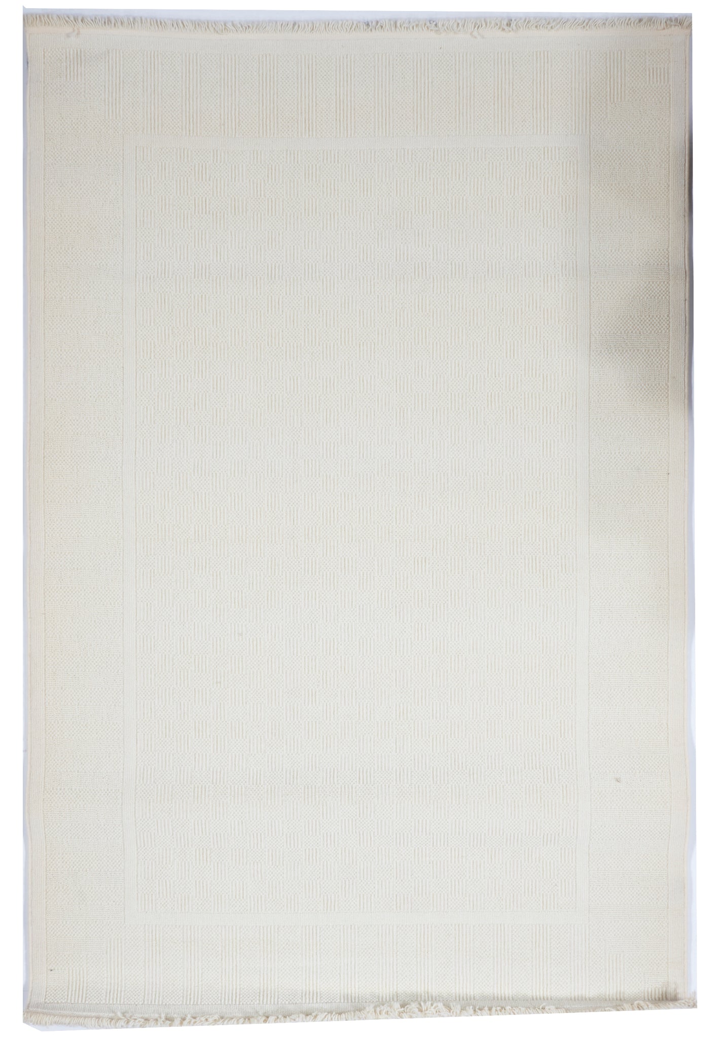 Transitional Woven Beige Wool Rug 6' x 9' - IGotYourRug