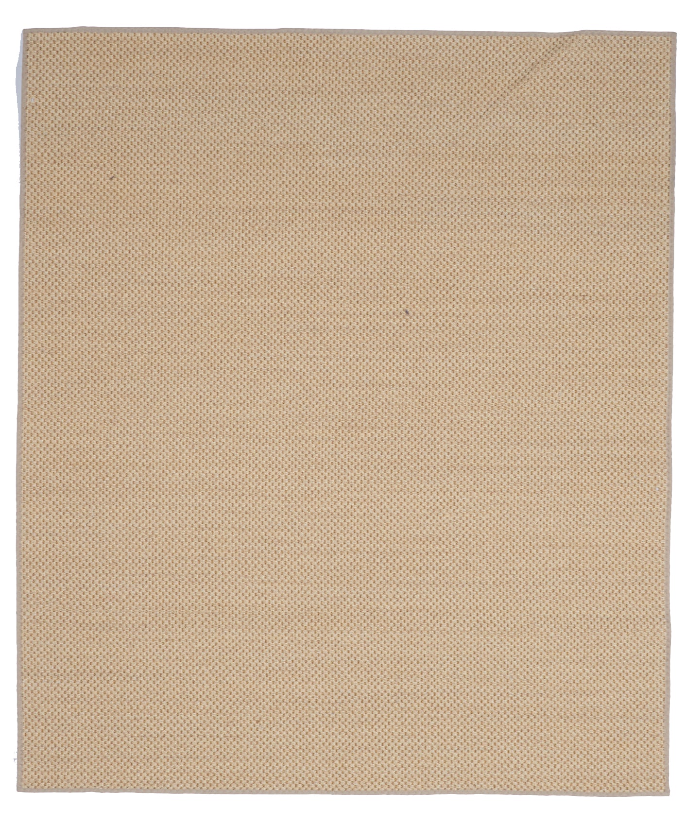 Natural Sisal Beige Sisal Rug 5' x 5'10 - IGotYourRug